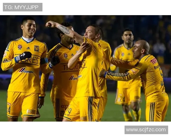 足球明星外号老虎的真实身份揭秘及其辉煌足球生涯回顾