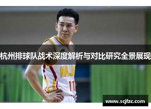 杭州排球队战术深度解析与对比研究全景展现