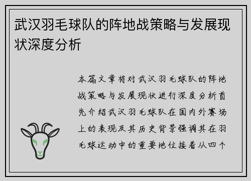 武汉羽毛球队的阵地战策略与发展现状深度分析